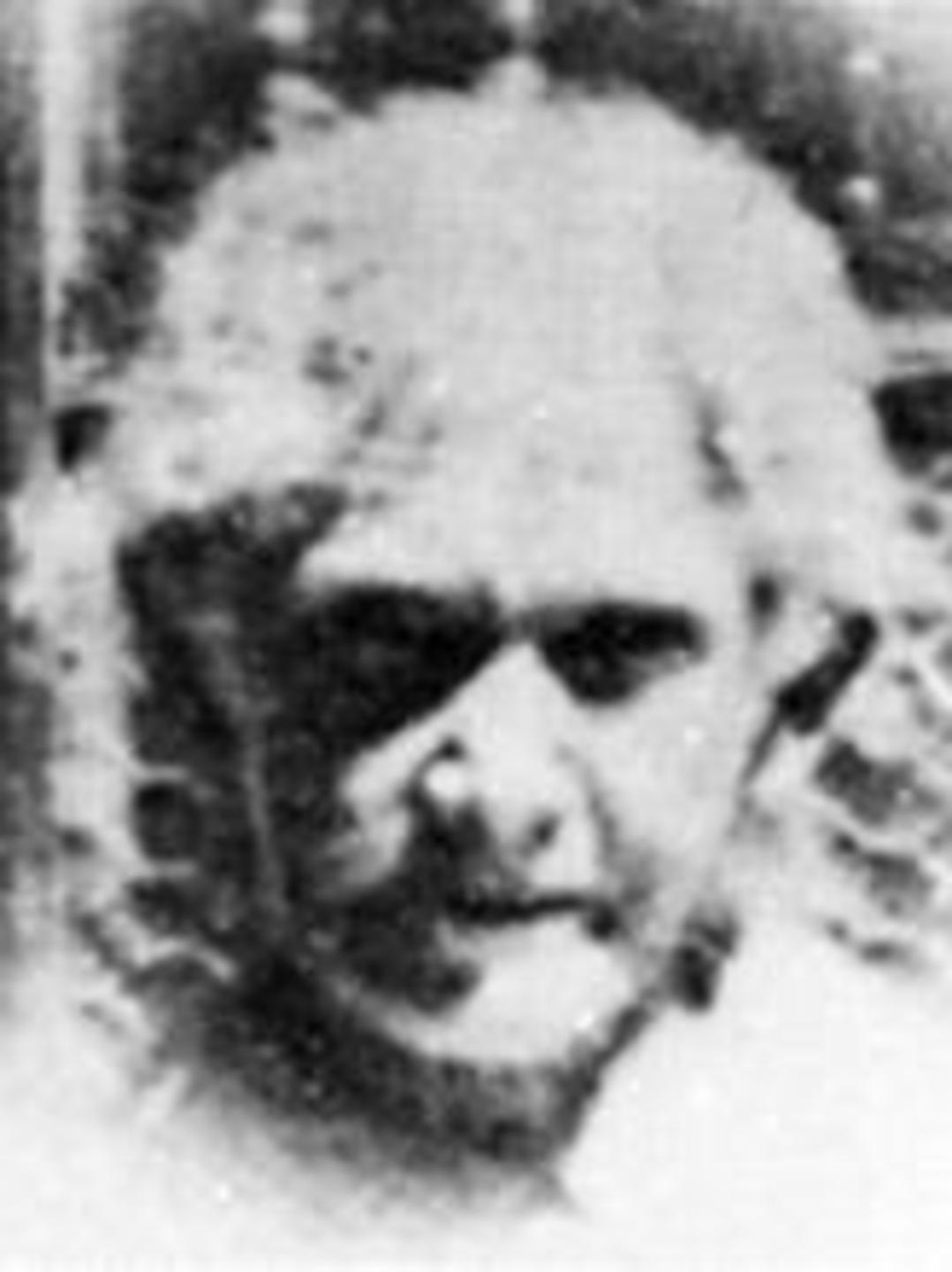 Margaret Matilda Green (1853 - 1919) Profile
